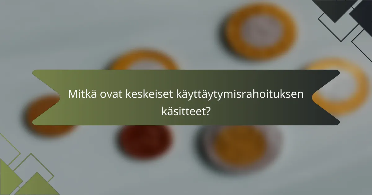 Mitkä ovat keskeiset käyttäytymisrahoituksen käsitteet?